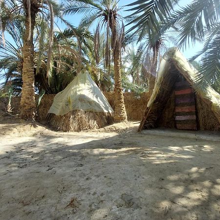 Forest Camp Siwa - كامب الغابة Siwa Oasis Eksteriør billede