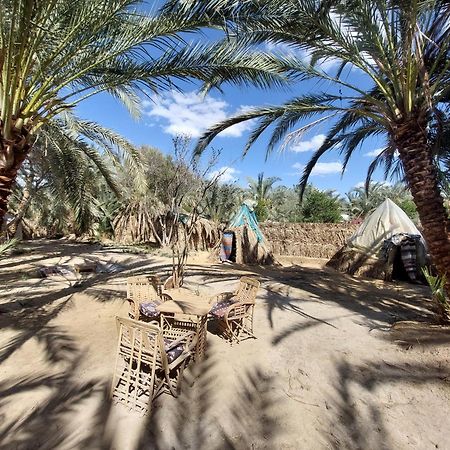 Forest Camp Siwa - كامب الغابة Siwa Oasis Eksteriør billede