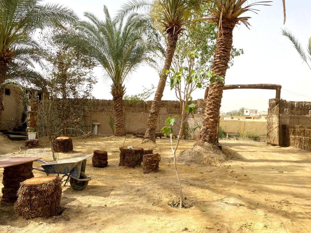 Forest Camp Siwa - كامب الغابة Siwa Oasis Eksteriør billede