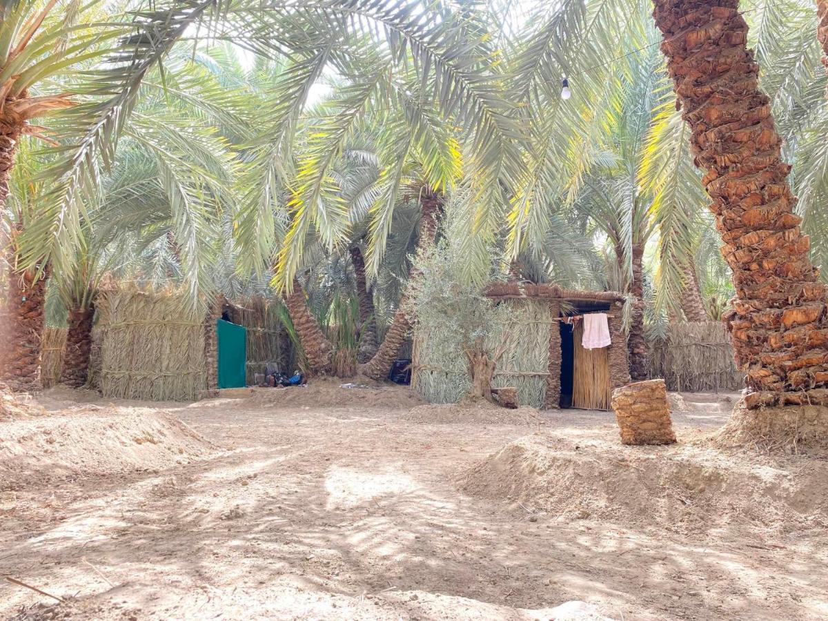Forest Camp Siwa - كامب الغابة Siwa Oasis Eksteriør billede