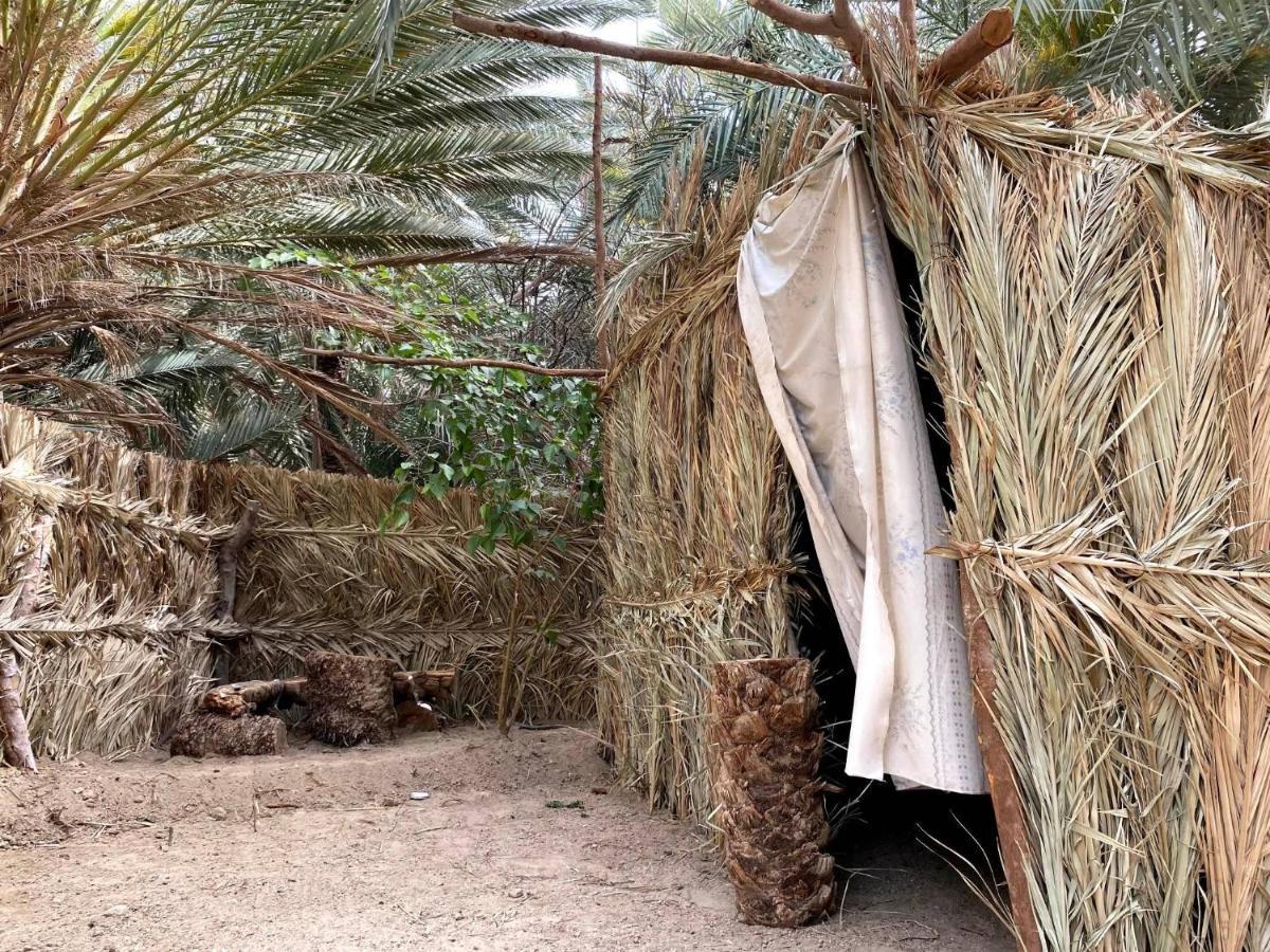 Forest Camp Siwa - كامب الغابة Siwa Oasis Eksteriør billede