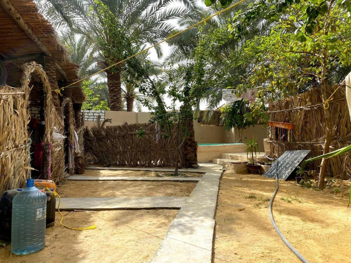 Forest Camp Siwa - كامب الغابة Siwa Oasis Eksteriør billede