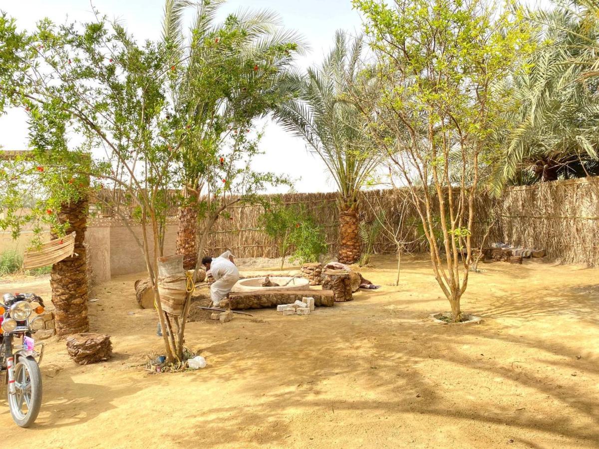 Forest Camp Siwa - كامب الغابة Siwa Oasis Eksteriør billede
