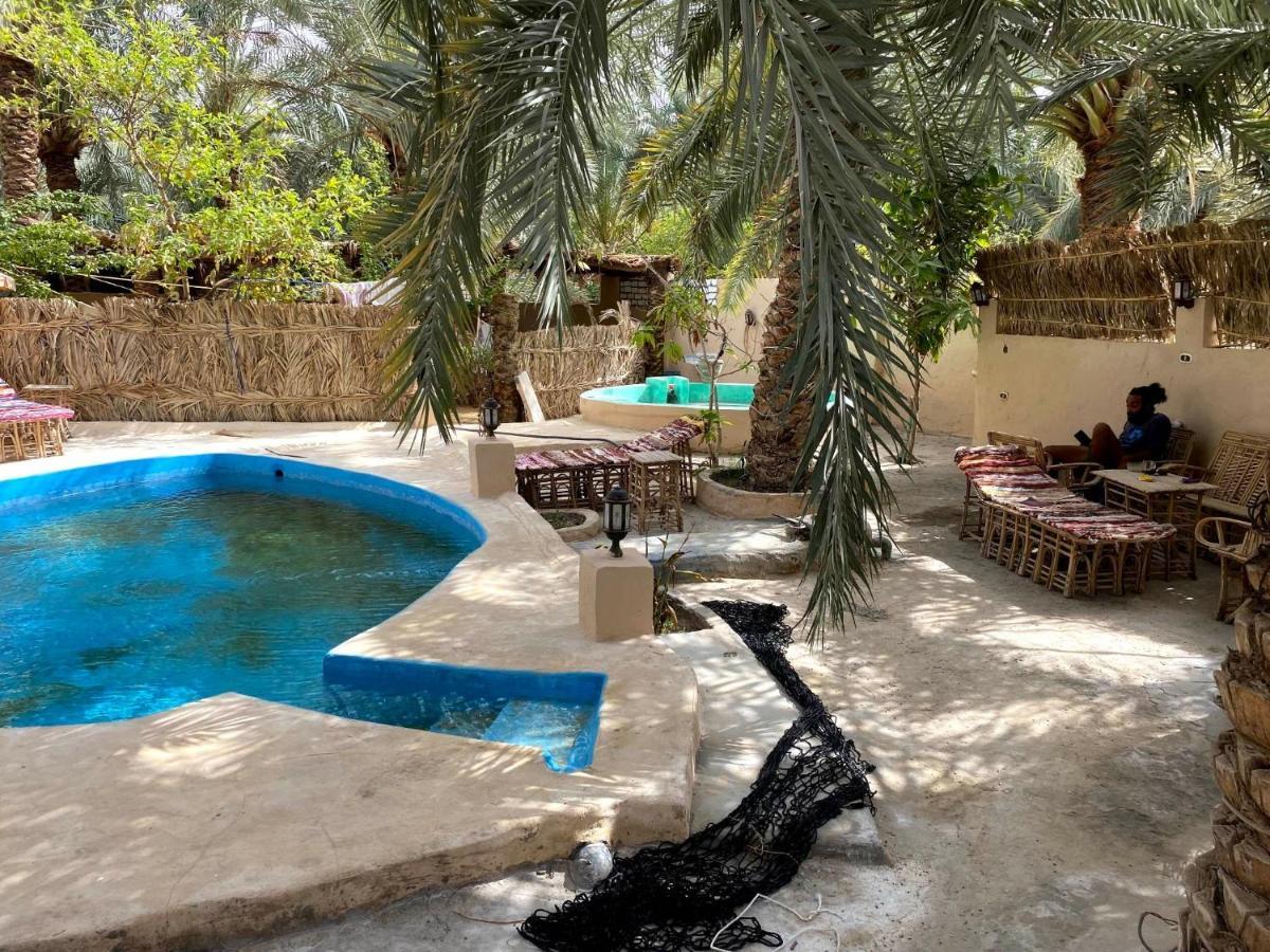Forest Camp Siwa - كامب الغابة Siwa Oasis Eksteriør billede