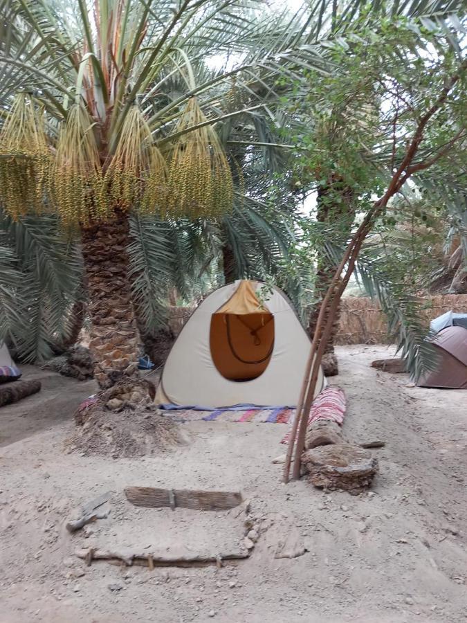 Forest Camp Siwa - كامب الغابة Siwa Oasis Eksteriør billede