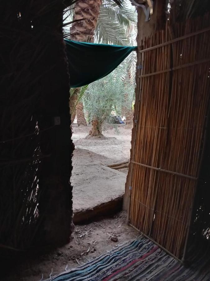 Forest Camp Siwa - كامب الغابة Siwa Oasis Eksteriør billede