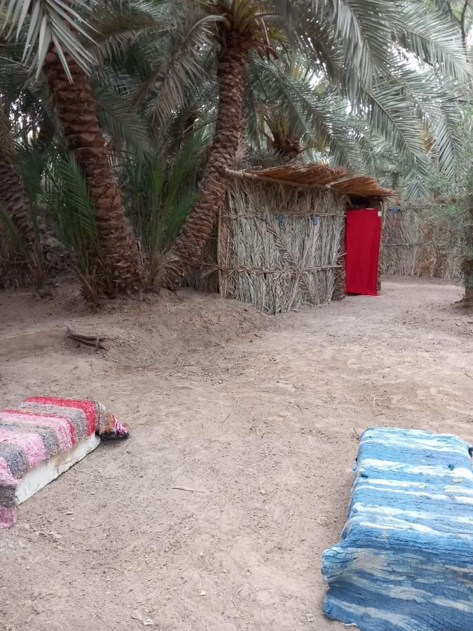 Forest Camp Siwa - كامب الغابة Siwa Oasis Eksteriør billede