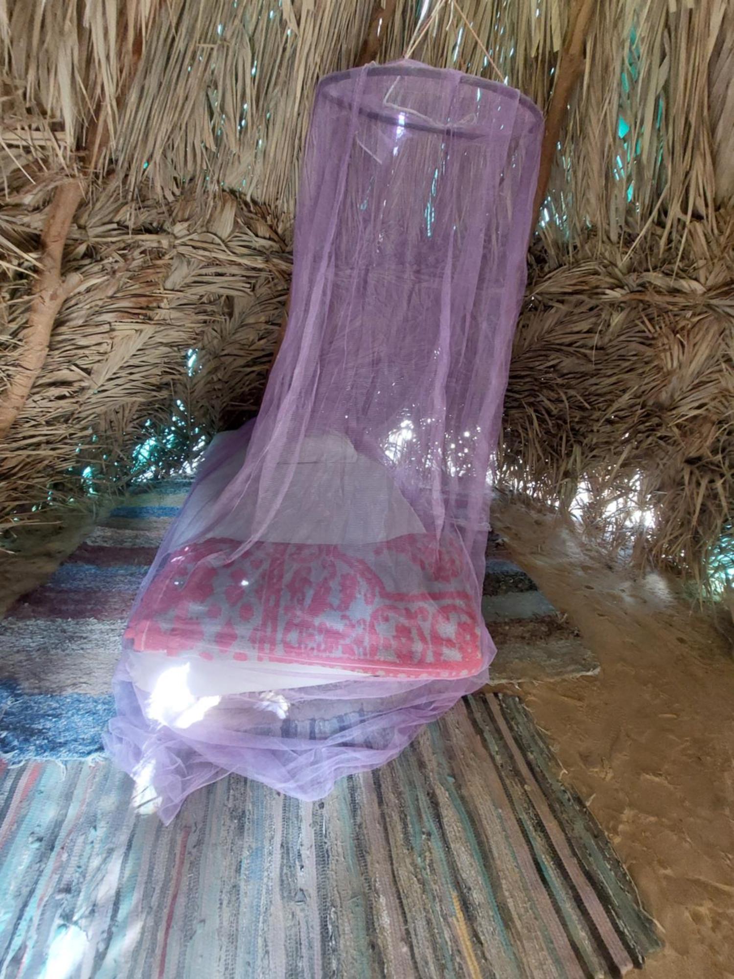 Forest Camp Siwa - كامب الغابة Siwa Oasis Eksteriør billede