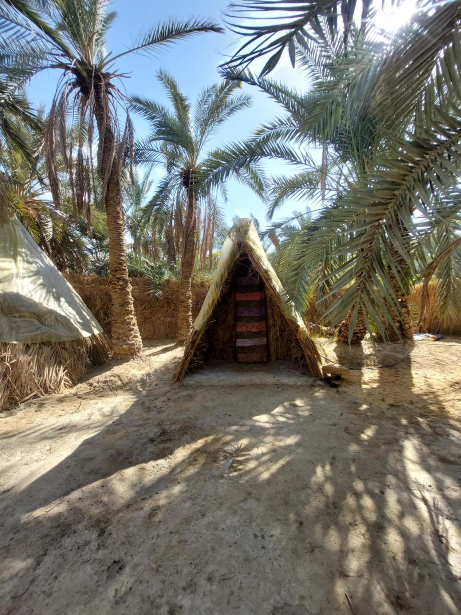 Forest Camp Siwa - كامب الغابة Siwa Oasis Eksteriør billede
