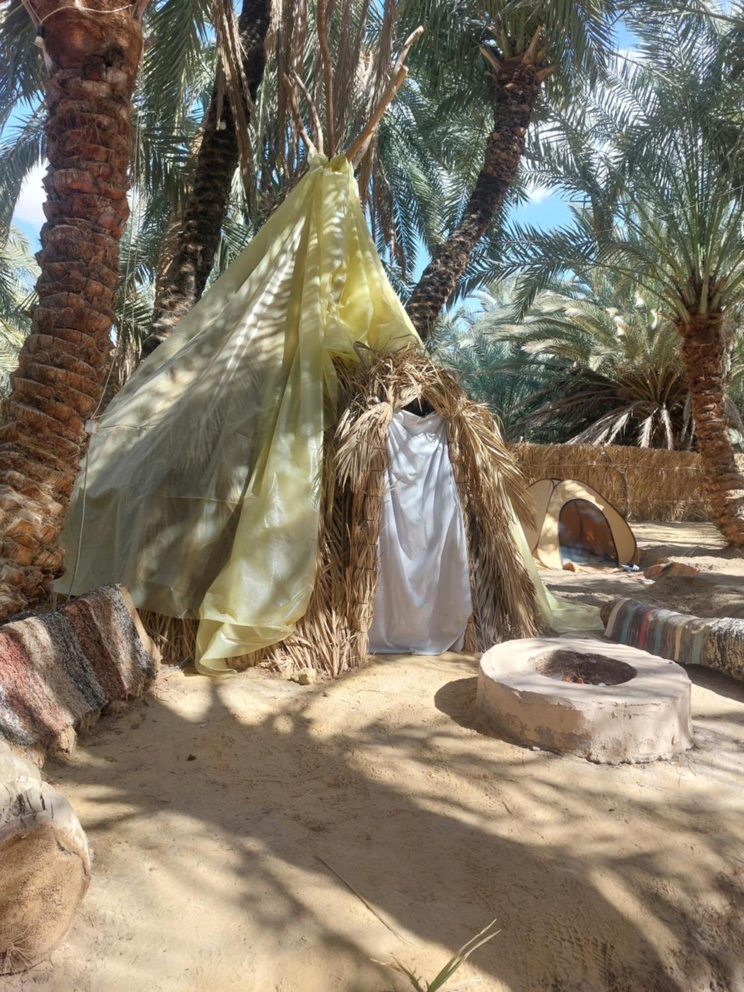 Forest Camp Siwa - كامب الغابة Siwa Oasis Eksteriør billede