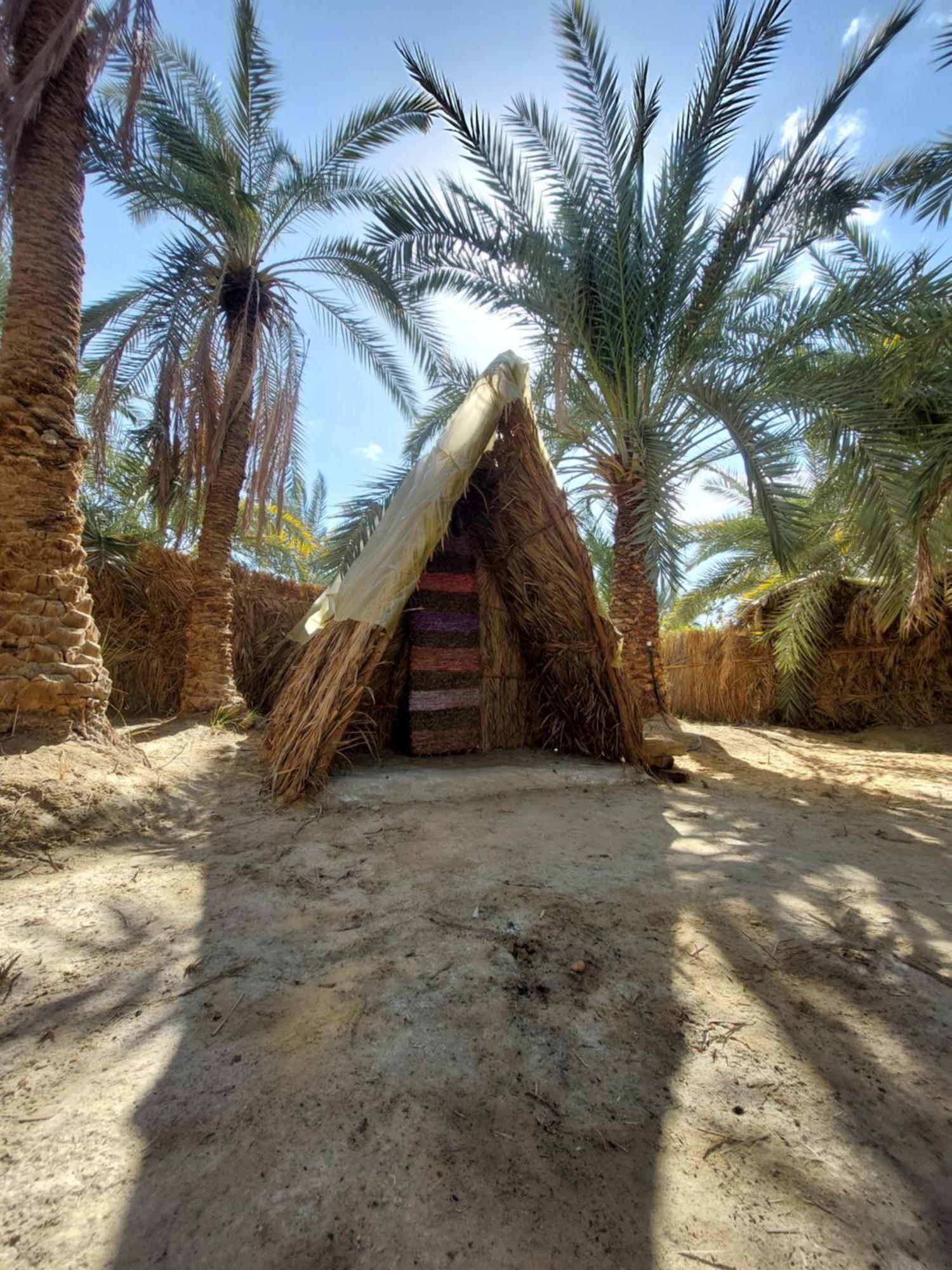 Forest Camp Siwa - كامب الغابة Siwa Oasis Eksteriør billede