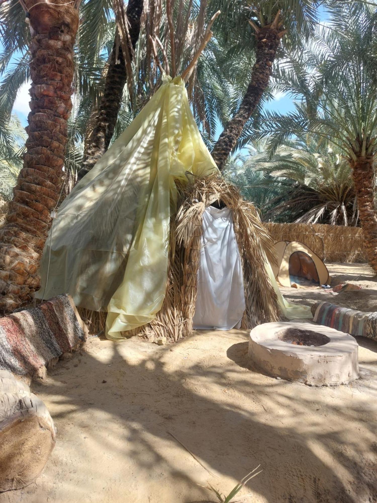 Forest Camp Siwa - كامب الغابة Siwa Oasis Eksteriør billede
