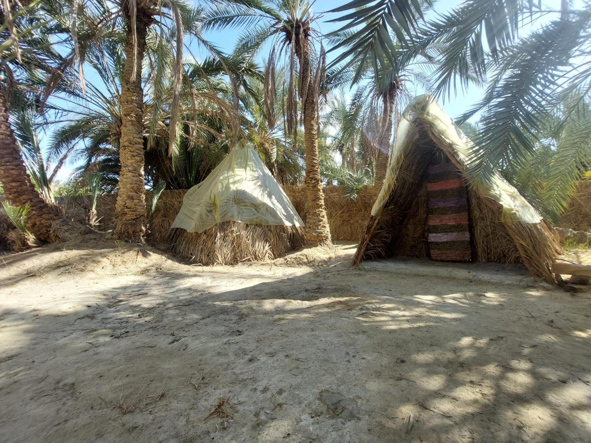 Forest Camp Siwa - كامب الغابة Siwa Oasis Eksteriør billede