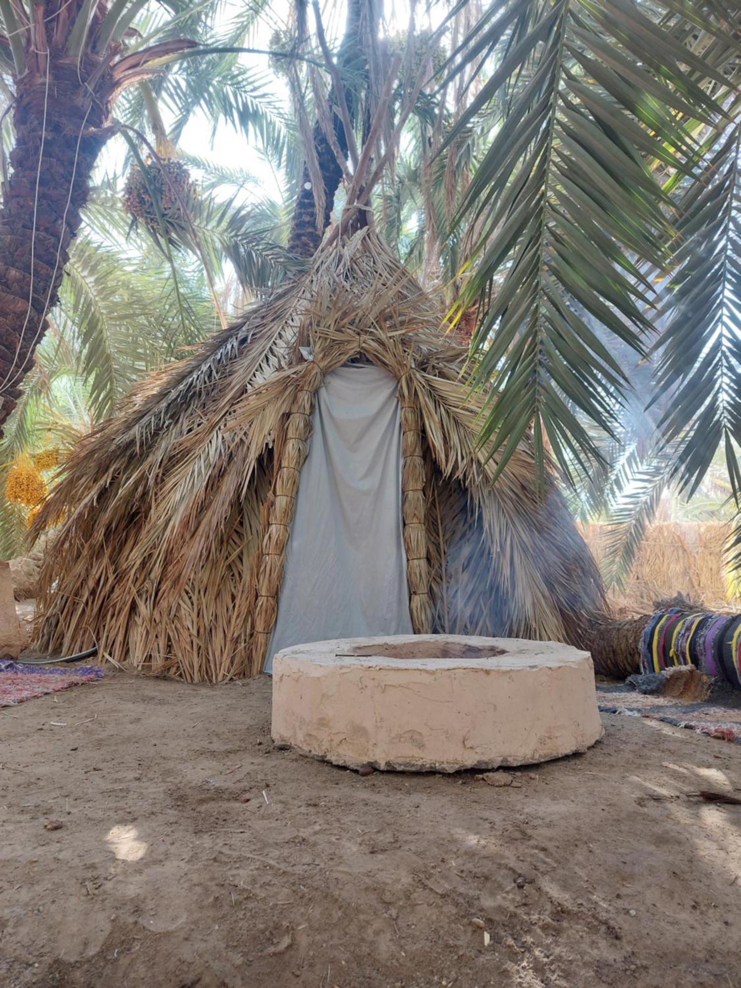 Forest Camp Siwa - كامب الغابة Siwa Oasis Eksteriør billede