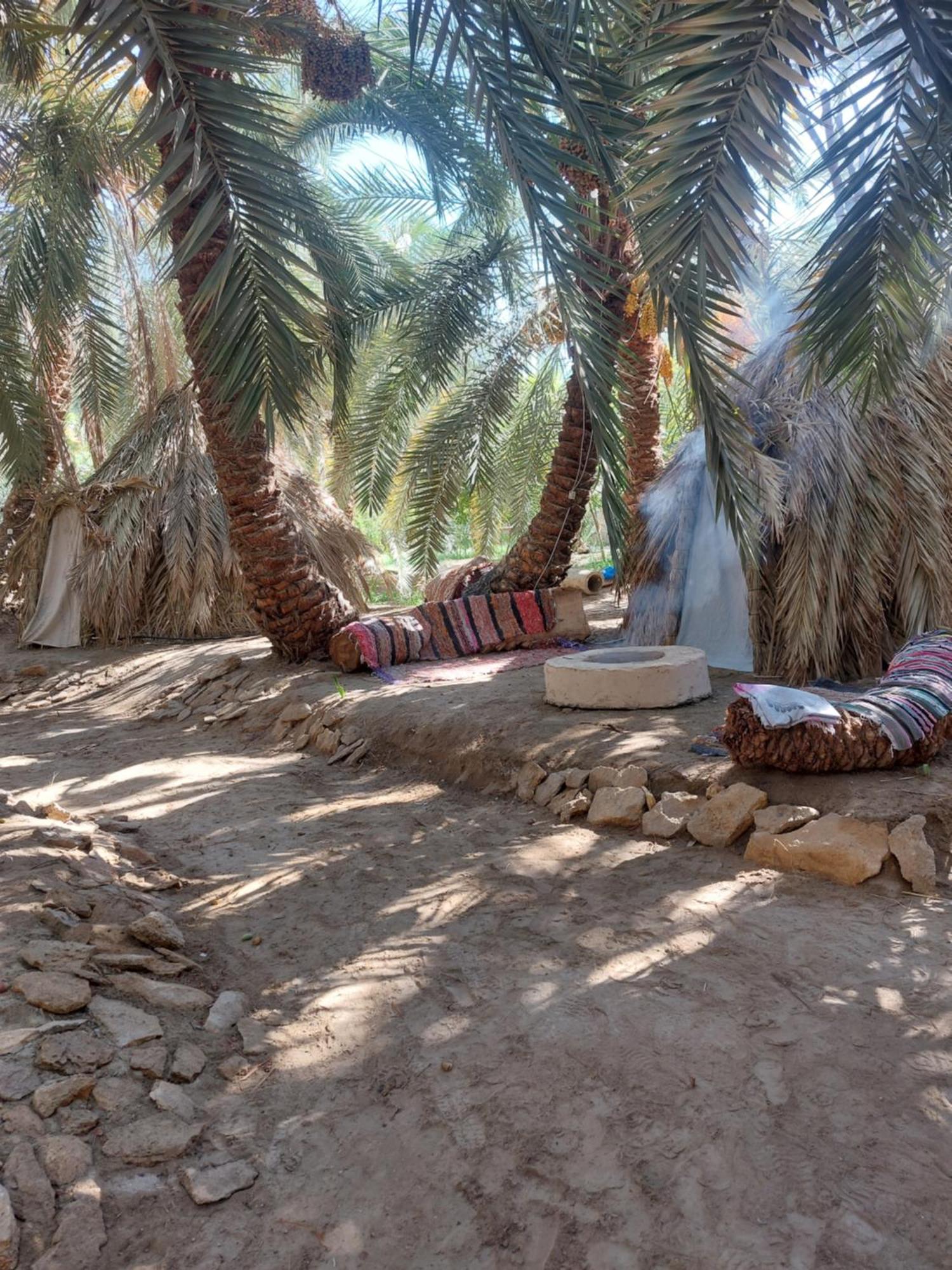 Forest Camp Siwa - كامب الغابة Siwa Oasis Eksteriør billede