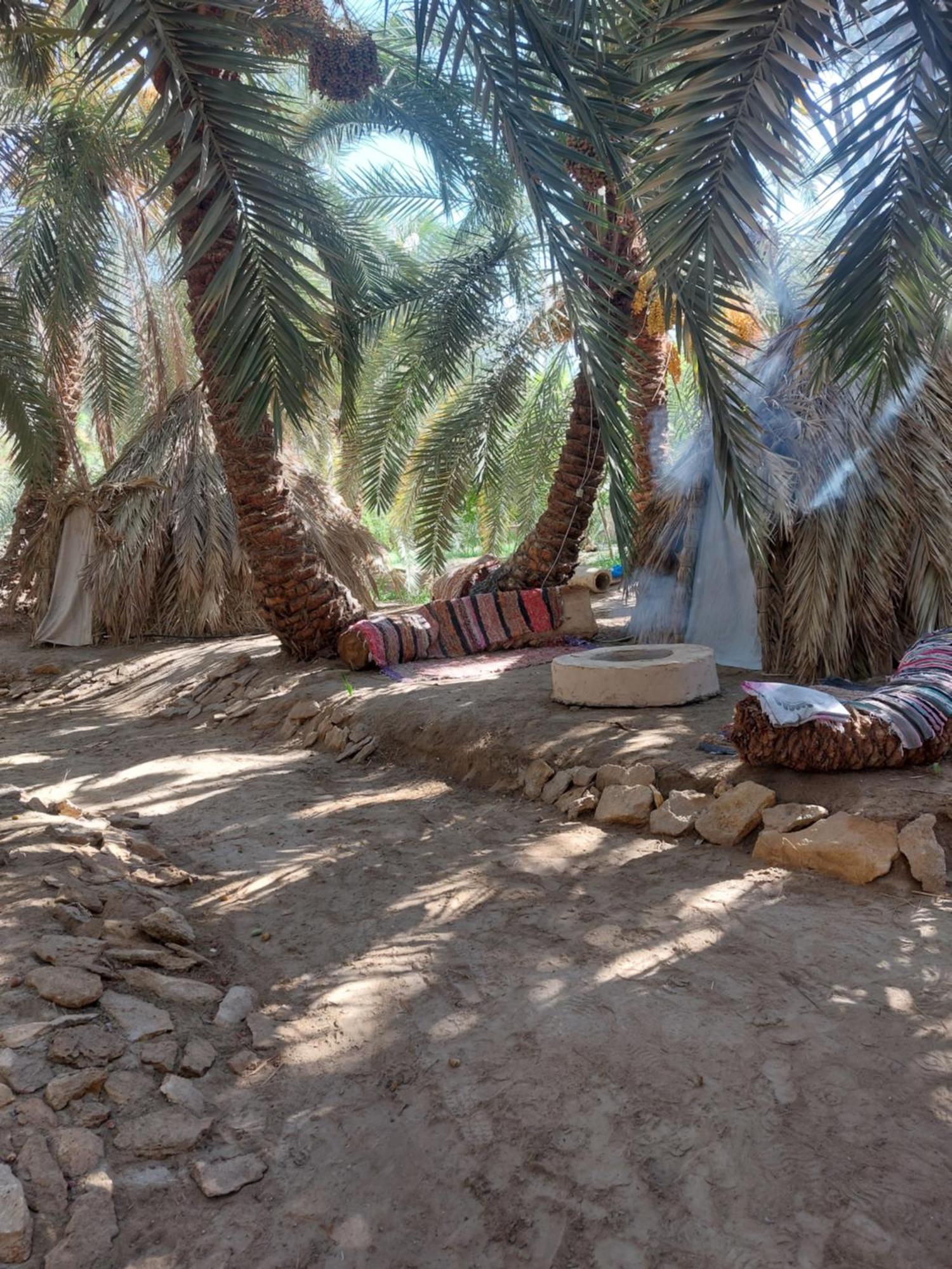 Forest Camp Siwa - كامب الغابة Siwa Oasis Eksteriør billede