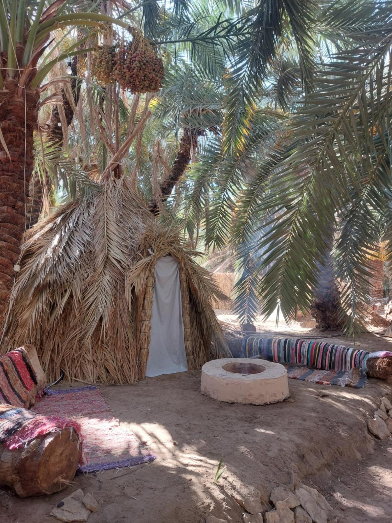 Forest Camp Siwa - كامب الغابة Siwa Oasis Eksteriør billede