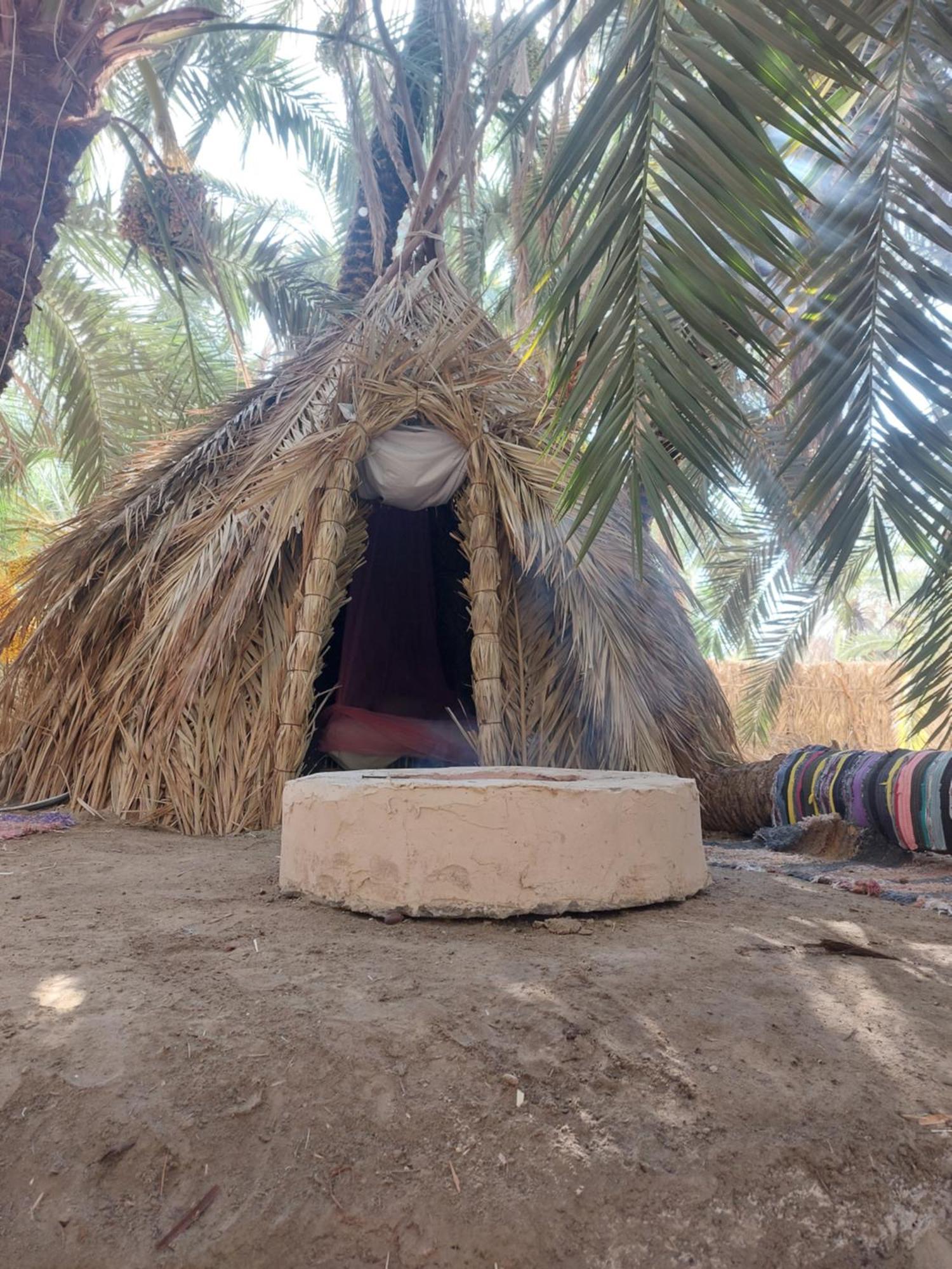 Forest Camp Siwa - كامب الغابة Siwa Oasis Eksteriør billede