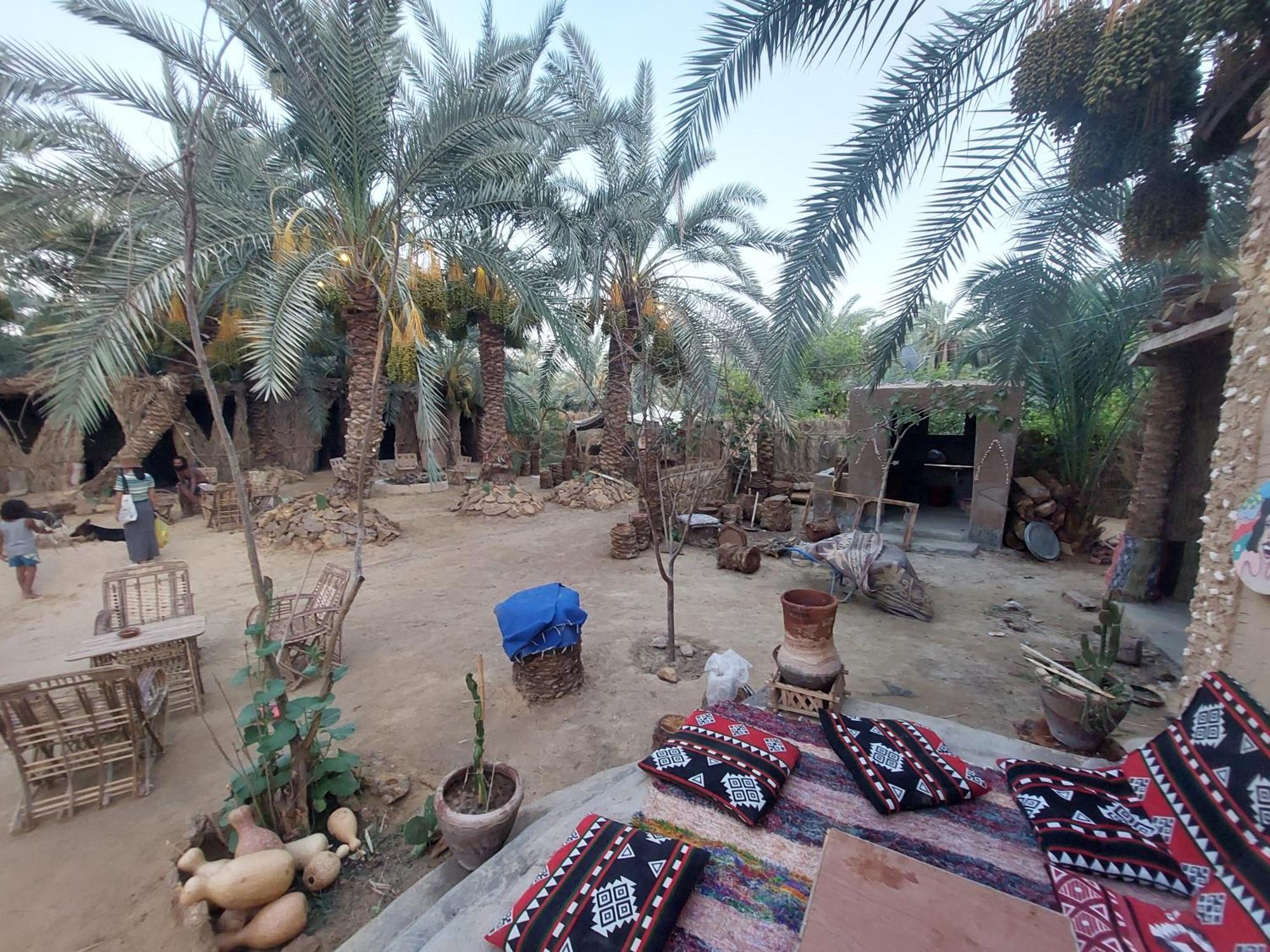 Forest Camp Siwa - كامب الغابة Siwa Oasis Eksteriør billede
