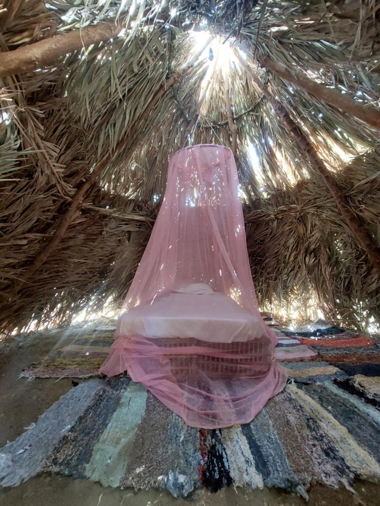Forest Camp Siwa - كامب الغابة Siwa Oasis Eksteriør billede