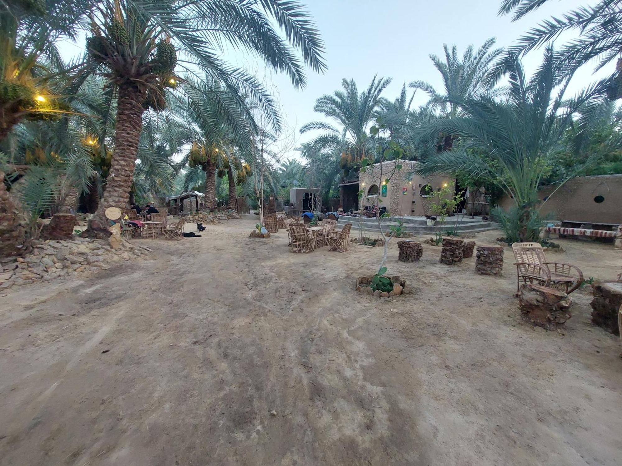 Forest Camp Siwa - كامب الغابة Siwa Oasis Eksteriør billede