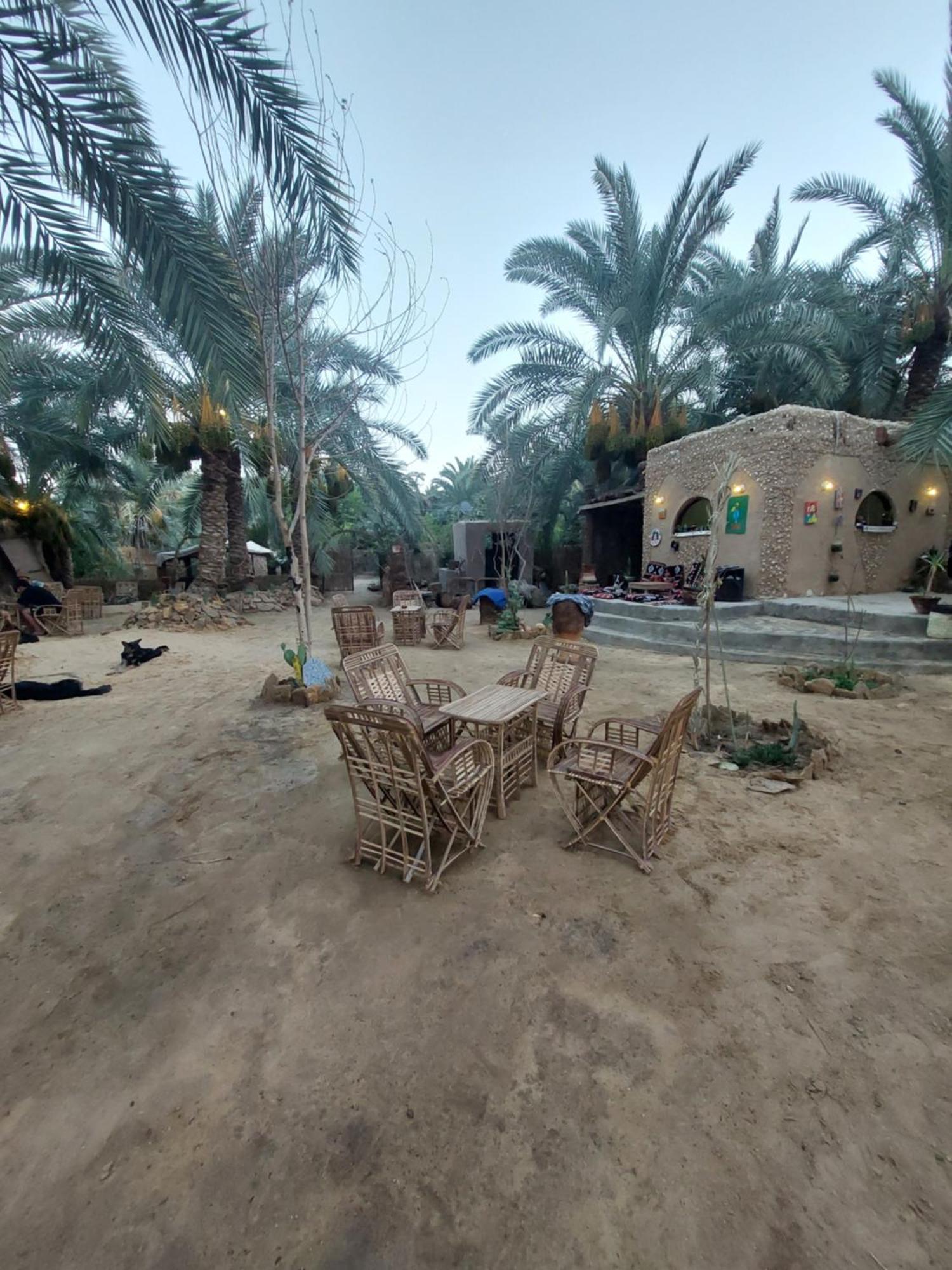 Forest Camp Siwa - كامب الغابة Siwa Oasis Eksteriør billede