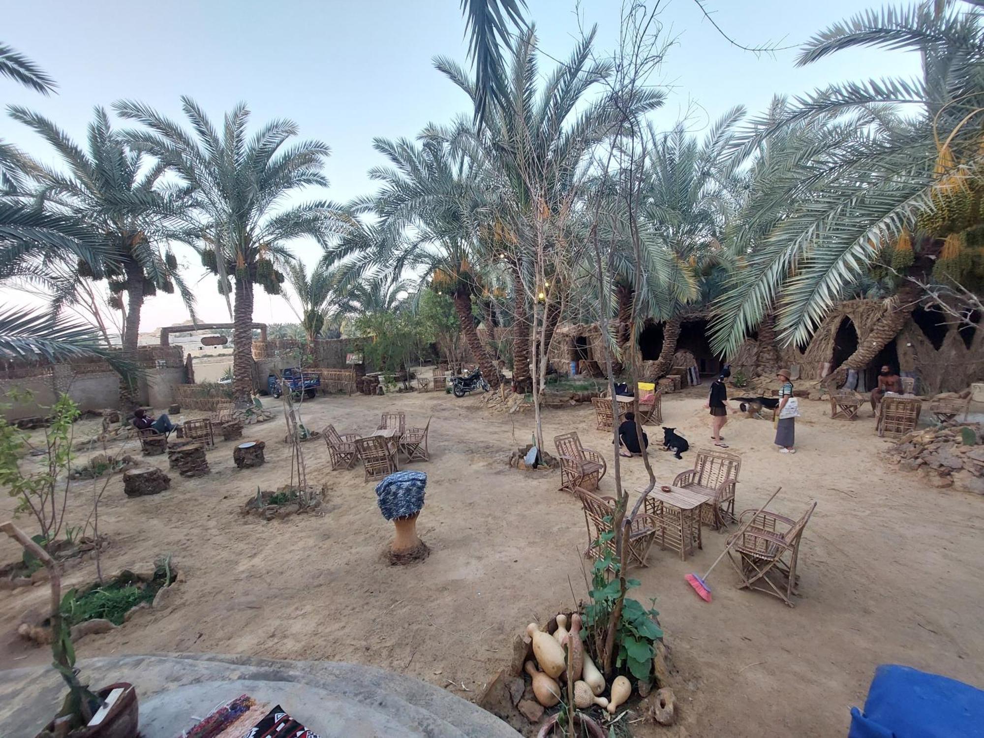 Forest Camp Siwa - كامب الغابة Siwa Oasis Eksteriør billede