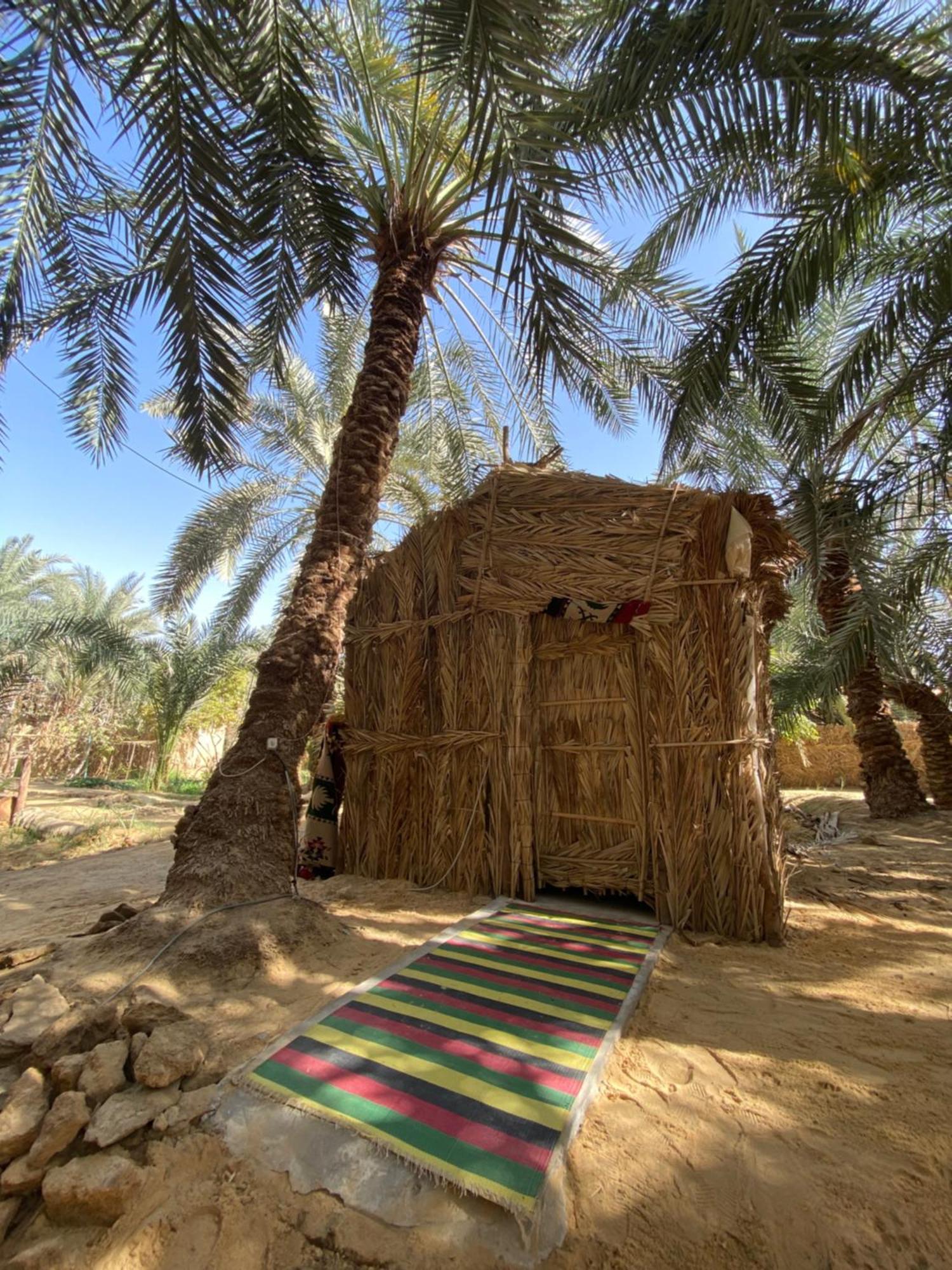 Forest Camp Siwa - كامب الغابة Siwa Oasis Eksteriør billede