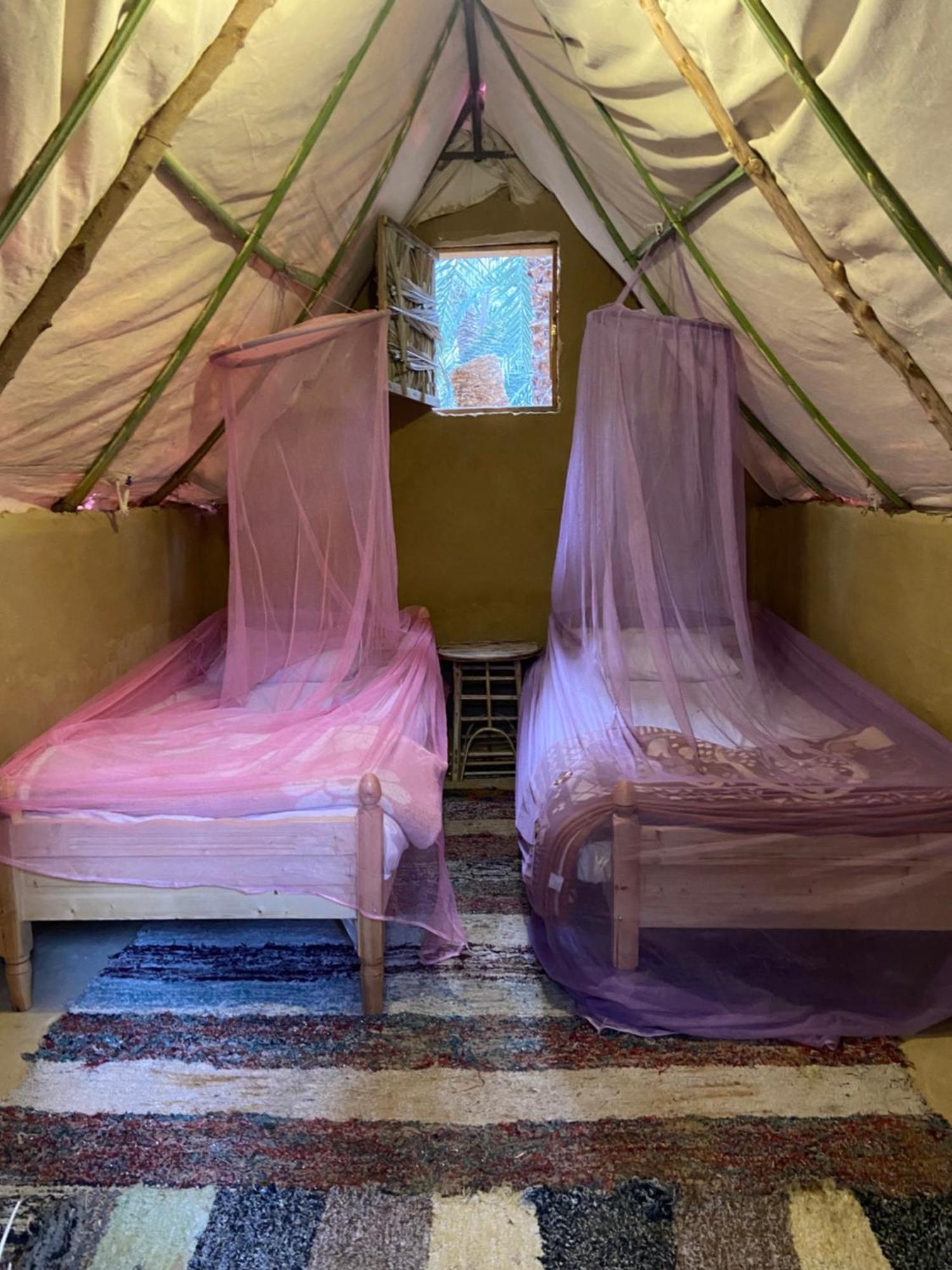 Forest Camp Siwa - كامب الغابة Siwa Oasis Eksteriør billede