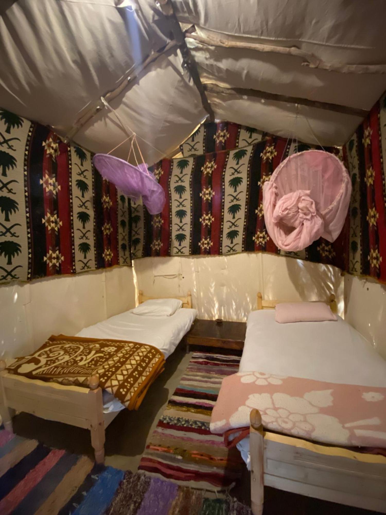 Forest Camp Siwa - كامب الغابة Siwa Oasis Eksteriør billede