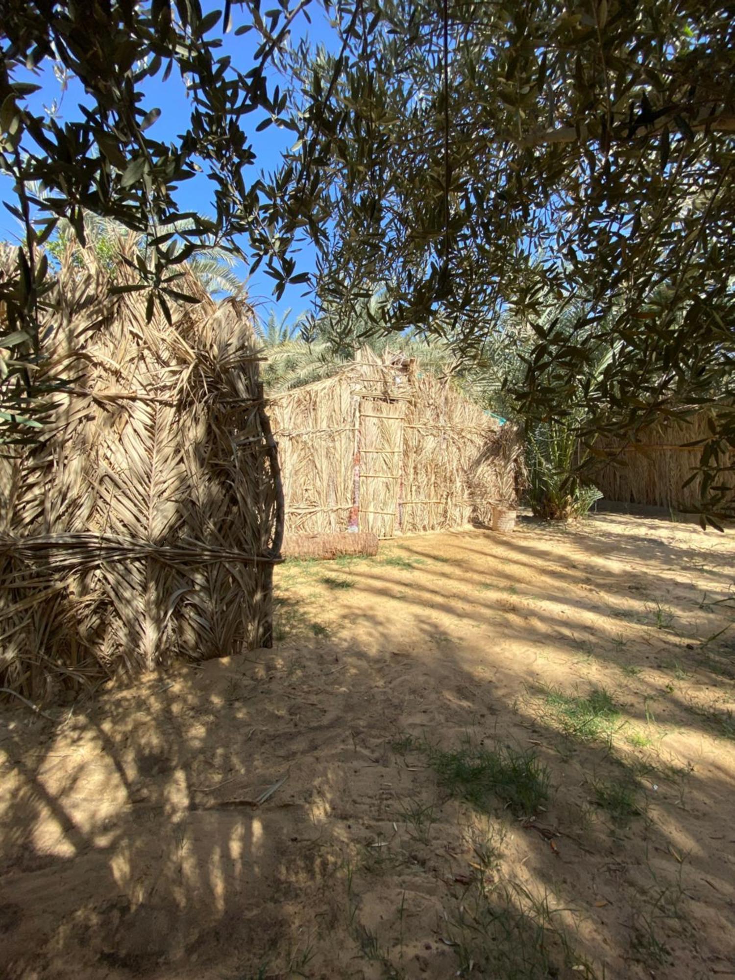Forest Camp Siwa - كامب الغابة Siwa Oasis Eksteriør billede